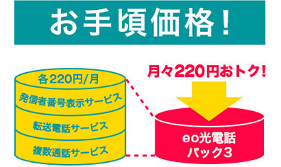 お手頃価格! 月々220円おトク!